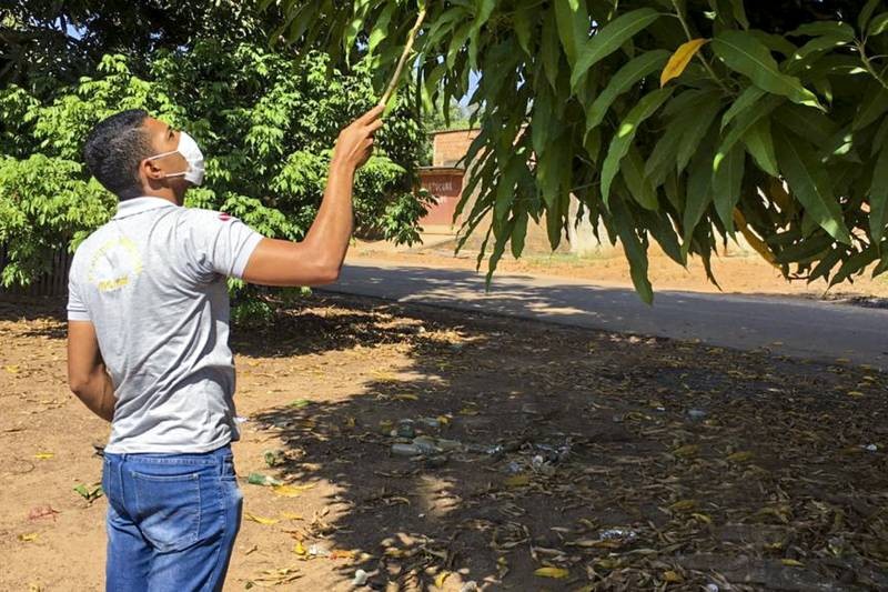 Foto: Reprodução/Secom Pará