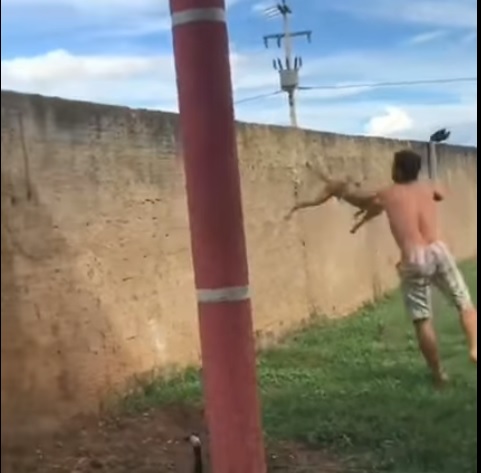 Foto: Reprodução/Redes Sociais