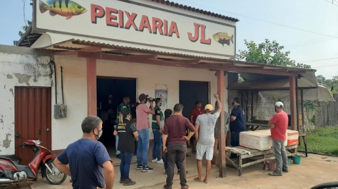 Reprodução