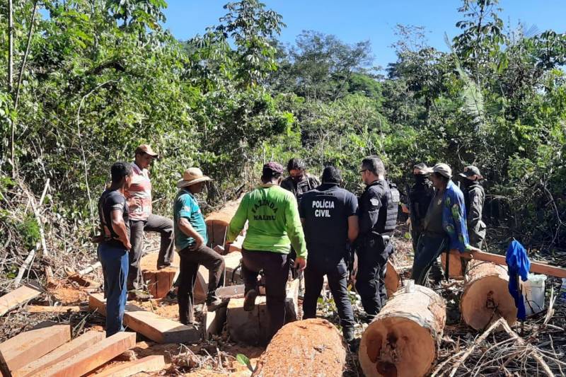 Ação foi interceptada por agentes da Força Estadual de Combate ao Desmatamento Ilegal e Queimadas - Foto: ASCOM-SEMAS