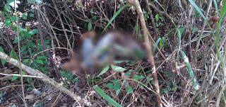 Jadeir dos Santos foi encontrado morto em região de mata, próximo ao local onde ele matou o próprio sogro.