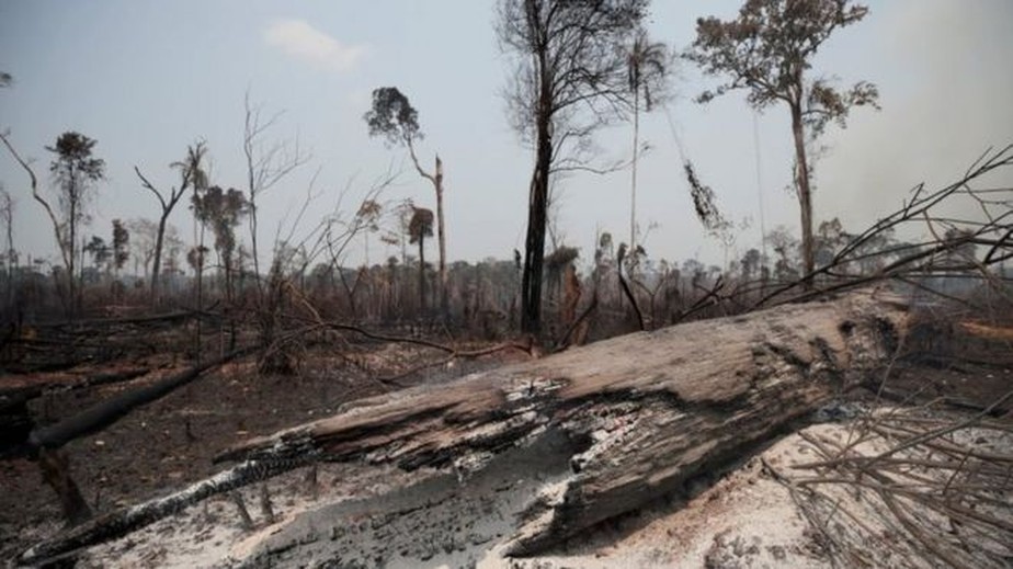Foto: Reprodução / Reuters