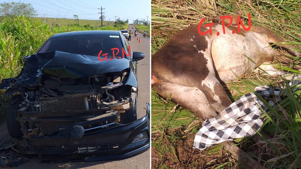 A frente do carro ficou bastante danificada, e o dono da novilha não foi identificado. Foto: GPN