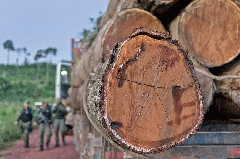 Justiça condena pecuarista a reparar desmatamento em terra indígena no Pará