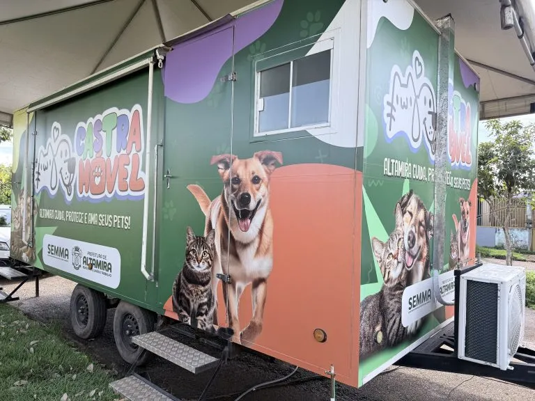Ação do castramóvel atende mais de 60 cães e gatos em Altamira