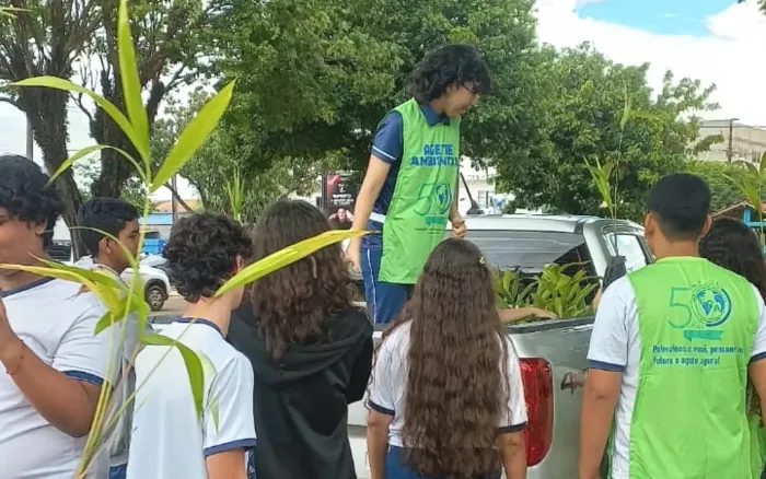 Emater entrega 50 mudas de açaí para escola estadual em Altamira