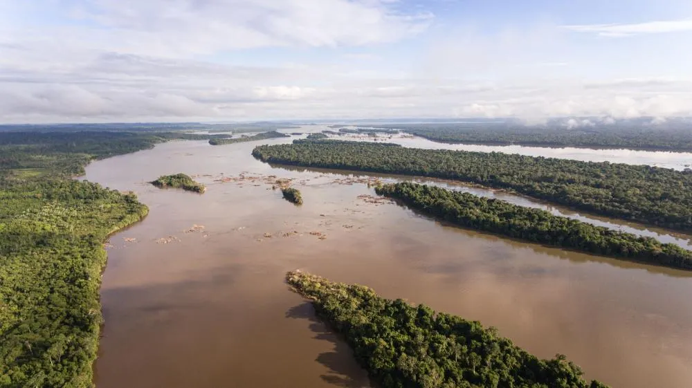Vista aérea do Rio Xingu próximo à Aldeia São Francisco, na região da Volta Grande. Foto de arquivo, de fevereiro de 2020. Crédito: Cícero Pedrosa Neto/Amazônia Real
