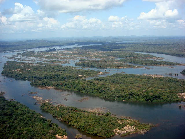 Foto: oeco.org.br