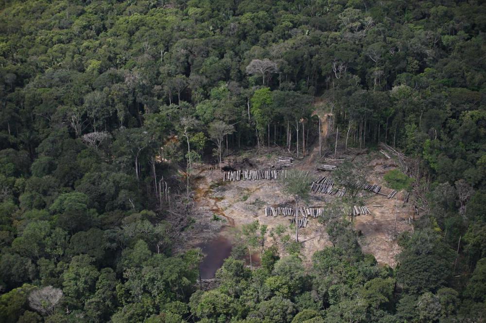 Foto: Agência Pará