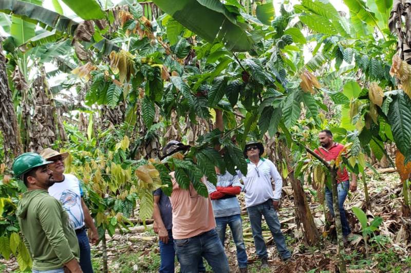 O curso é tem duração de 180h e certificado emitido pela Fundação de Amparo e Desenvolvimento da Pesquisa (Fadesp).